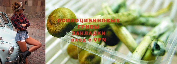 трава Абинск
