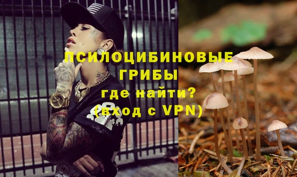 трава Абинск